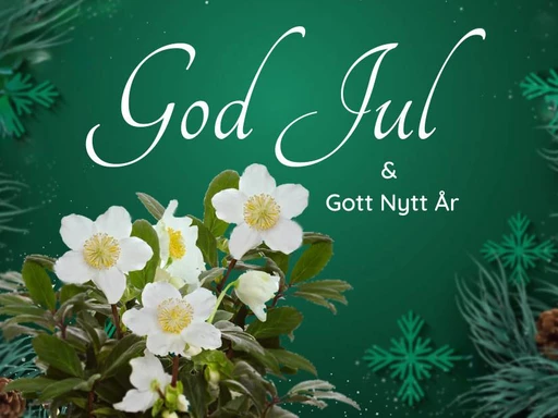 God Jul och en riktigt fin julklapp